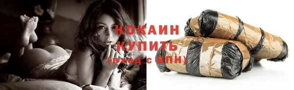 шишки Коряжма