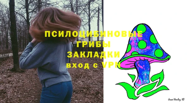 мет Арсеньев