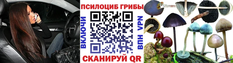 Купить закладки  Боровск  Галлюциногенные грибы Psilocybe 